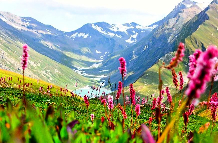 Valley of Flowers Trek